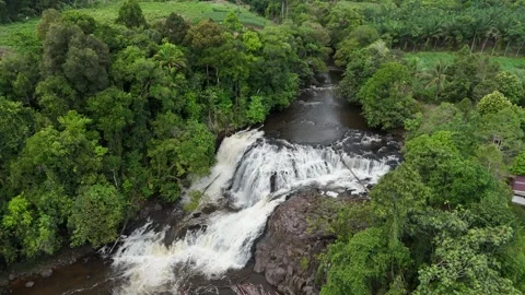 Aerial view of a serene waterfall surrounded by lush greenery and dense forest. Stock Footage 337992552