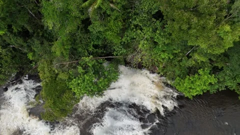 Aerial view of a serene waterfall surrounded by lush greenery and dense forest. Stock Footage 337992977