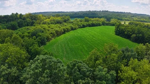 Aerial view of a serpent mound with surrounding nature. Stock Footage 336509021