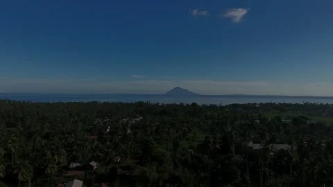 Aerial View of a settlement in the middle of coconut trees and trees Stock Footage 239730493