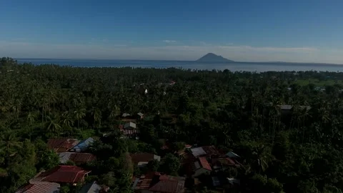Aerial View of a settlement in the middle of coconut trees Stock Footage 239730519