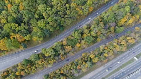 Aerial view of several parallel roads in the middle of the park zone in autumn. Stock Footage 86254538
