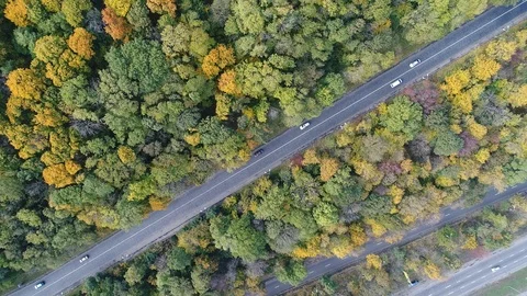 Aerial view of several parallel roads in the middle of the park zone in autumn. Video stock 86254745