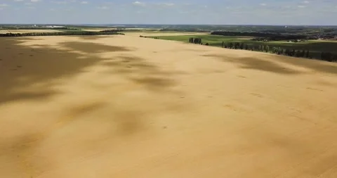 Aerial view: Shadows from clouds on wheat fields. Video stock 135736972