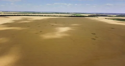 Aerial view: Shadows from clouds on wheat fields. Video stock 135737245