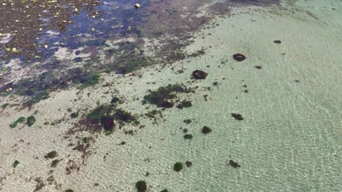 Aerial View of Shallow Clear Water and Rocky Bottom in 4K Stockbeeldmateriaal 332943571