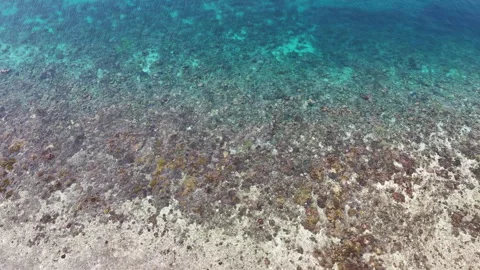 Aerial View of Shallow, Exposed Corals in Indonesia Vídeo Stock 345375153