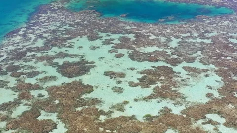 Aerial View of Shallow Reef Flat in Raja Ampat Stock Footage 125839093
