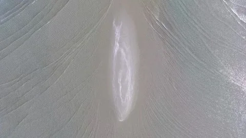 Aerial view of shallow sea waves forming a symmetrical shape. Stock Footage 280210571