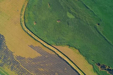 Aerial View of Sharp Contrast Between Green Crop Field and Brown Farmland 库存照片