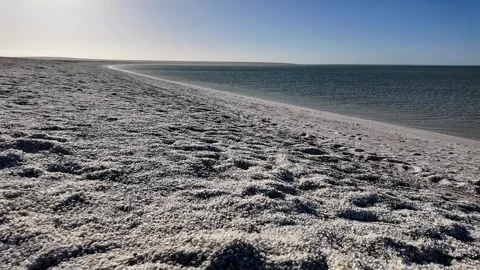 Aerial View of Shell Beach and Turquoise Shark Bay waters Video stock 330678327
