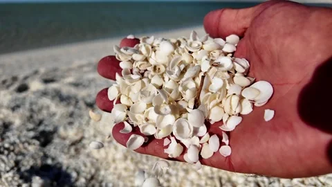 Aerial View of Shell Beach and Turquoise Shark Bay waters Video stock 330678348