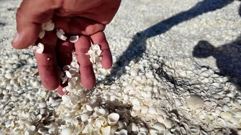 Aerial View of Shell Beach and Turquoise Shark Bay waters Video stock 330678388