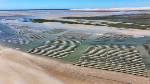 Aerial View of Shellfish Aquaculture Patterns in Dakhla Morocco Stock Footage 339092126