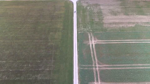 Aerial view showcasing rural pathways intersecting vast green fields in Geneva. Vidéo 330377356