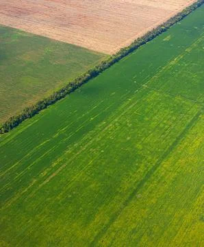 Aerial view showing geometric patterns in agricultural fields Stock Photos