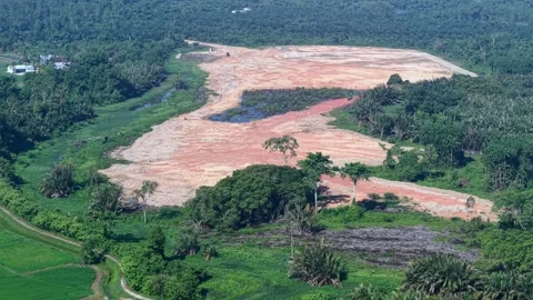 Aerial view shows cleared land Vidéo 339830428