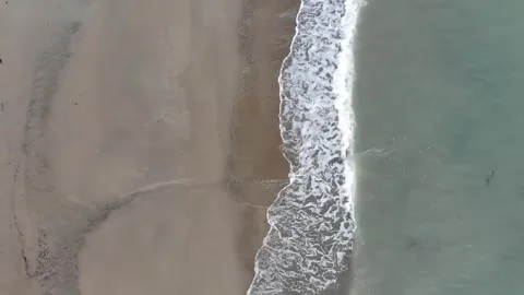 This aerial view shows the edge of a sandy beach Stock Footage 319221018
