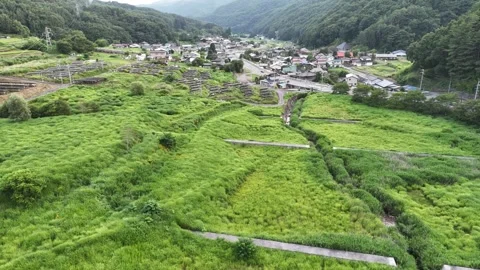 Aerial view shows green fields and winding roads 库存影片 343246300