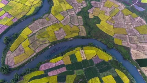 Aerial view shows a patchwork of agricultural fields alongside a winding river Stock Footage 312303999