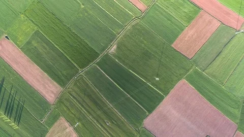 Aerial view shows patchwork agricultural farmland fields across a treeless flat Stock-Footage 333718307