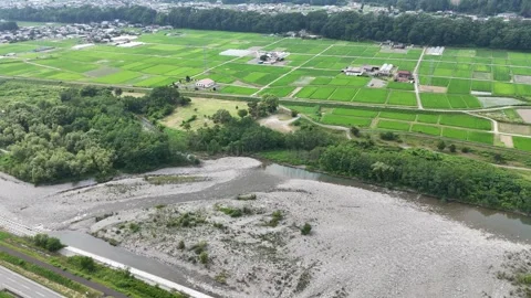 Aerial view shows riverbed between lush rice fields Stock Footage 340883583