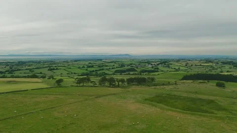 Aerial view shows rolling green fields under overcast skies Stock Footage 345525077