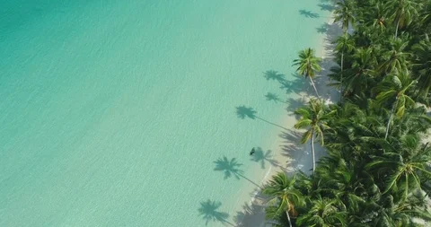 An aerial view shows waves lapping a palm-tree lined beach in Ko Kut, Thailand. Vidéo 129446819