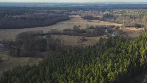 Aerial view shows winding river through dense evergreen forest Stock Footage 333834557