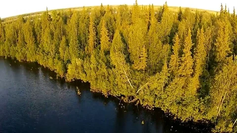 Aerial view of the Siberian river Vídeos de archivo 73307015
