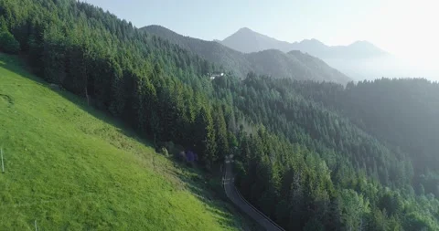 Aerial view of side meadow mountain. Green forest extending in background 動画素材 150973067