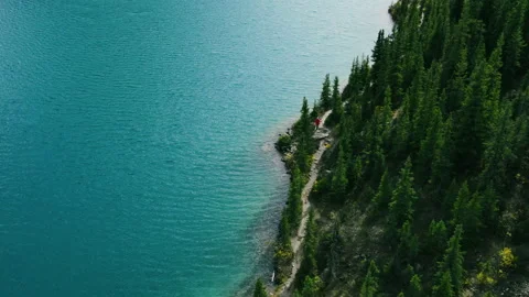Aerial view of the side of the mountain lake and Pine forest. Stock Footage 163804642