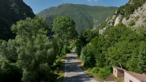 Aerial view of the side of a road beneath leafy trees zooms out to reveal a Stock Footage 330376257