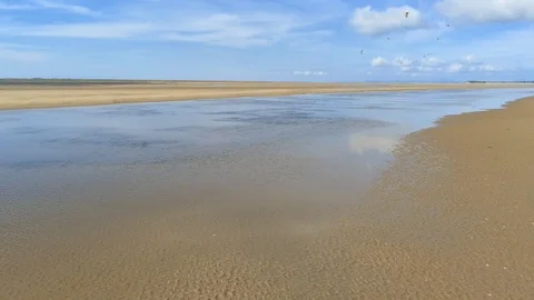 Aerial view, sideways move. Drone panorama over low tide sea and sand. Flock  스톡 동영상 94237774