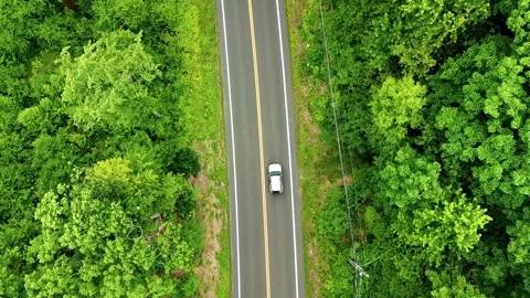 Aerial view of a silver car driving along a scenic forest road in the USA... Stock Footage 340290791