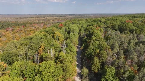 Aerial View of Simcoe Rail Trail and Minesing Wetland Stock Footage 319715906