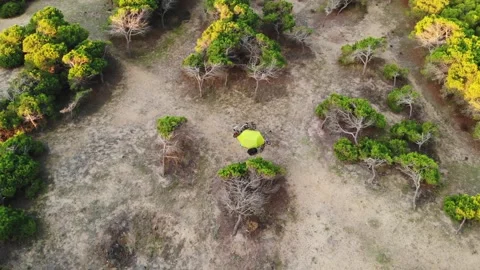 Aerial View Of A Single Tent In A Wild Campsite Among The Trees On Sandy Surface Stock Footage 195509883