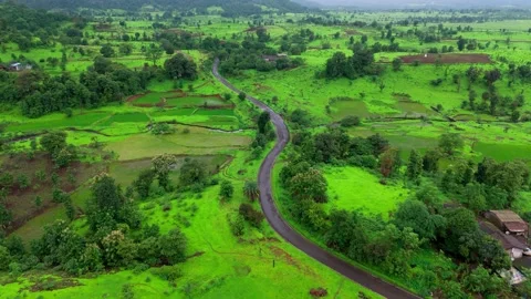 Aerial View of a Single Winding Road Cutting Through Lush Green Grassland Stock-Footage 342702005