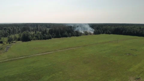 Aerial view of the site in the smoke on which the forest was cut down, burning 스톡 동영상 119227088
