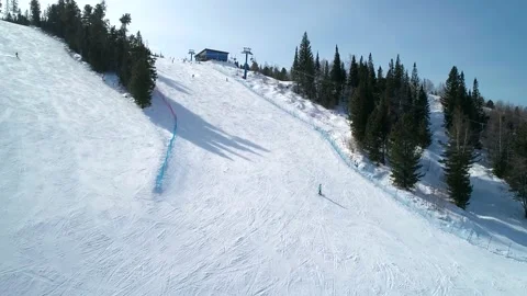 Aerial view on a ski slope surrounded with trees, people snowboarding and skiing Video stock 153728019