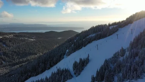 Aerial view of ski trails on a mountain Vidéo 101561983