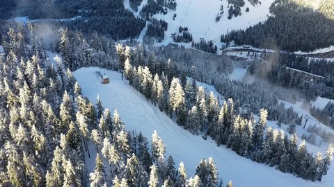 Aerial view of ski trails on a mountain Vidéo 101562012