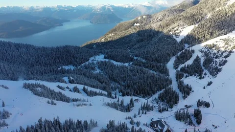 Aerial view of ski trails on a mountain Stock Footage 101562292