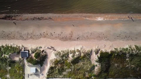 Aerial view of Skrea beach Stock Footage 164094375