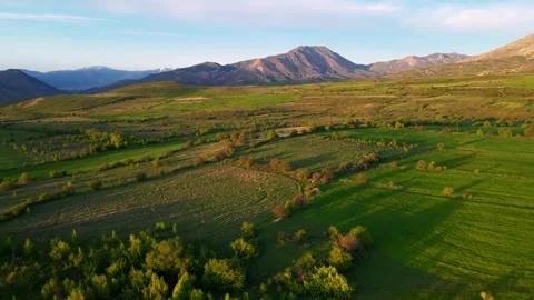 Aerial view the sky is clear spring time field Stock Footage 327961574