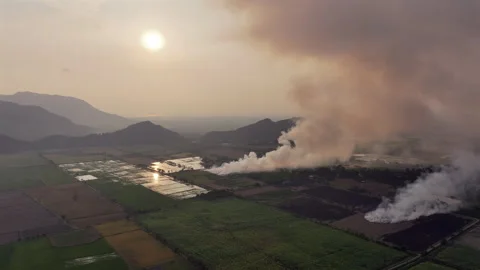 Aerial View Slash and Burn Field Sunny Heat Tropical Landscape Smoke Rice Stock Footage 281553358