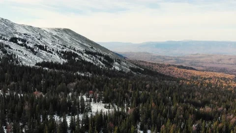 Aerial view of the slopes of the mountains covered with spruce forest and the Vídeo Stock 166545698