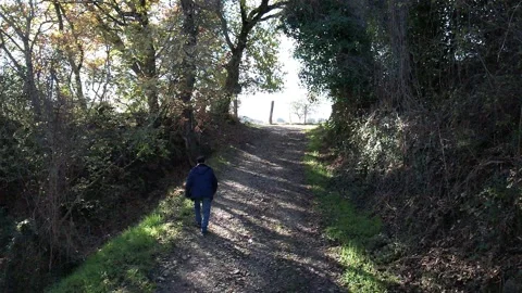 Aerial view slow motion old man walking in a path Stock Footage 167134748