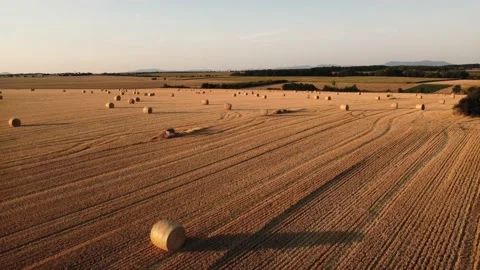 Aerial view (slowly backward flight by drone) of rolled hay bales Stock-Footage 201967358
