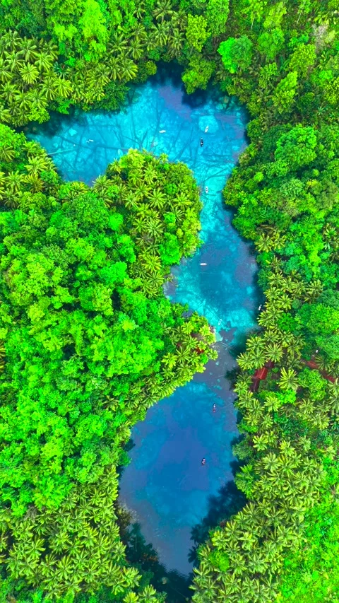 Aerial view of small boats on a clear blue lake with submerged trees Stock Footage 346361312